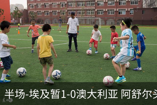 半场-埃及暂1-0澳大利亚 阿舒尔头球破门哈菲兹助攻沃尔帕托中框