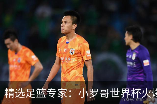 精选足篮专家：小罗哥世界杯火爆9连红长线15中13！